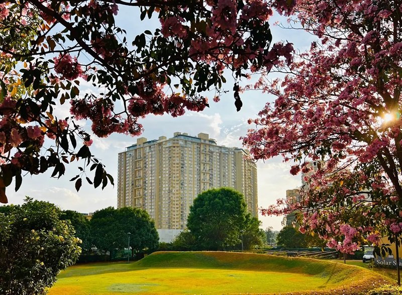 overview image Bhartiya City Nikoo Garden Estate